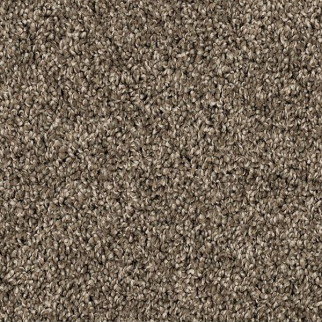 Mohawk Carpet Purrsonality III Matte Mohawk