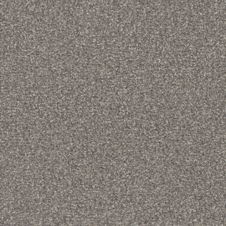 Masland Carpets Hunter Beethoven Masland