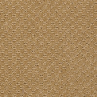 Philadelphia Commercial Latest Trend Camelback Shaw