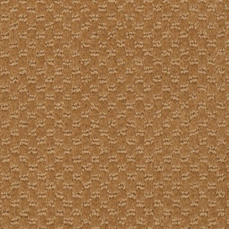 Philadelphia Commercial Latest Trend Gold Rush Shaw