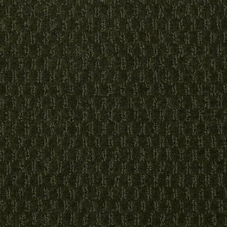 Philadelphia Commercial Latest Trend Mount Holly Shaw