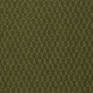 Philadelphia Commercial Latest Trend Woodland Shaw