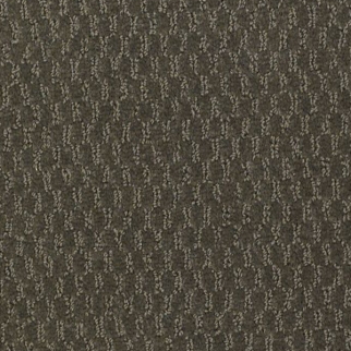 Philadelphia Commercial Latest Trend Lily Pond Shaw