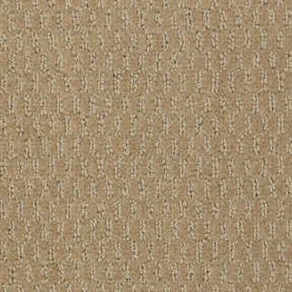 Philadelphia Commercial Latest Trend Alpaca Shaw