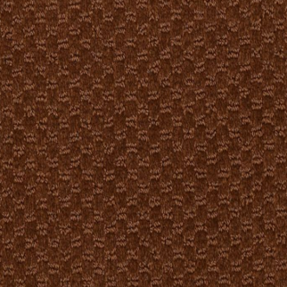 Philadelphia Commercial Latest Trend Brown Bear Shaw