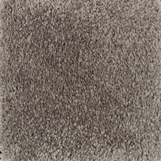 Mohawk Carpet Homefront I Night Phantom Mohawk