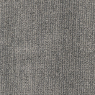 Dixie Home Bengal Sylvester