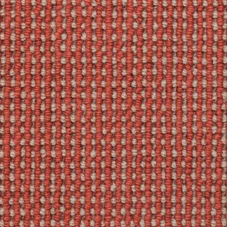 Masland Carpets Gallantry Too Lavish Masland