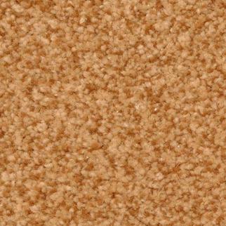 Dixie Home Semitones Chip