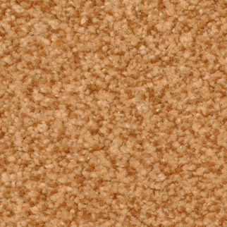 Dixie Home Innovations Chip