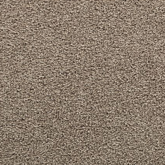 Mohawk Carpet Bold Choice Backcountry Mohawk