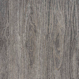 Nourison Carpets Arbor Bark NOURISON
