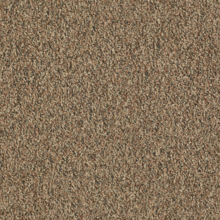 Shaw Floors Invincible 28 Bedrock SHAW