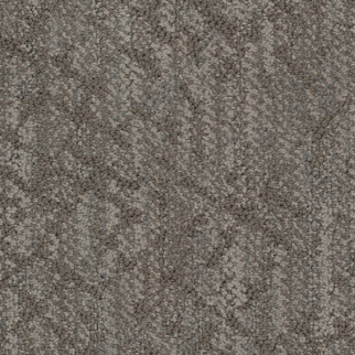 Masland Carpets Circuitry Birch Masland