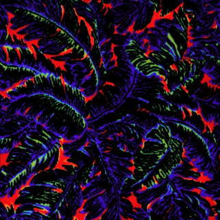 Joy Carpet Hot Tropics CL Blacklight