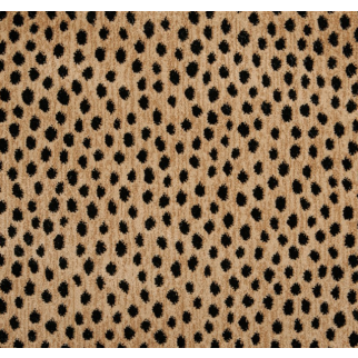 Stanton Carpet Dottie Bronze Stanton