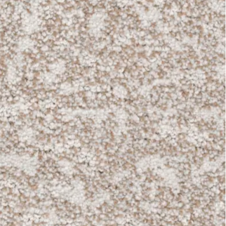 Revolution Mills Van Gogh Canvas