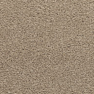 Mohawk Carpet Bold Choice Cape Cod Mohawk