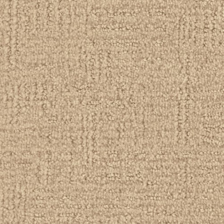 Masland Carpets Distinctive Caramel Masland