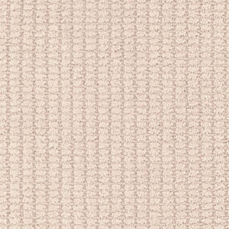 Masland Carpets Defined Champagne Masland