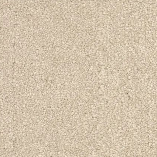 Revolution Mills Denali Coastal