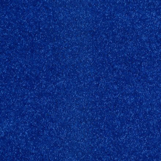 Shaw Floors Dalton 40 12 Cobalt SHAW