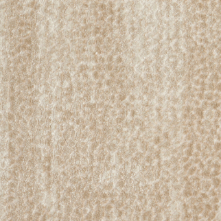 Stanton Carpet Allegory Cream Stanton