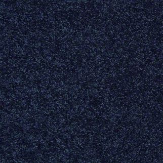 DesignTek Carpet Dalton 30 12' Darkest Denim DESIGNTEK