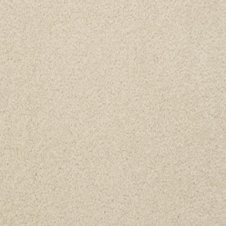 Dixie Home Alluring Desert Pearl