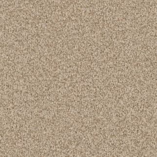 Masland Carpets Santa Rosa Driftwood Masland