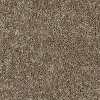 Shaw Floors Dyersburg Classic 12' Driftwood SHAW