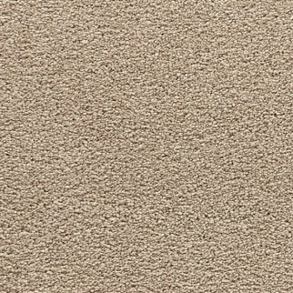 Mohawk Carpet Bold Choice Dune Mohawk