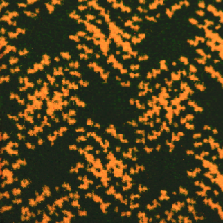 DesignTek Hospitality West Bay Fern DESIGNTEK