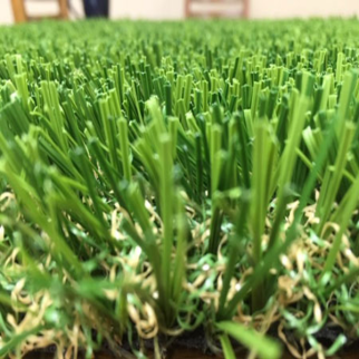 ENGINEERED TURF ET 62W Field Apple