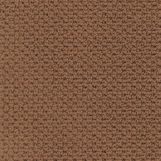 Masland Carpets Beachfront Fireside Masland