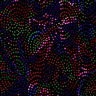 Joy Carpet Dancing Lights CL Fluorescent