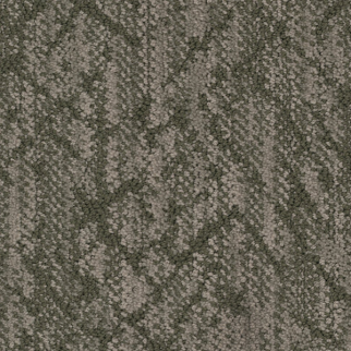Masland Carpets Circuitry Foliage Masland