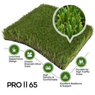 Keep It Green Turf Pro Turf II Fresh St Augustine