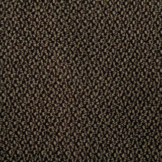 Shaheen Serenade Grapevine SHAHEEN CARPET MILLS