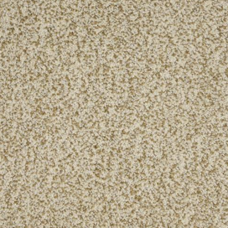 Dixie Home New Age Jackpot