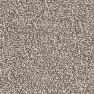 Revolution Mills Rainier Lookout