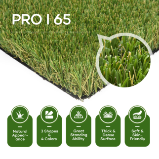 Keep It Green Turf Pro Turf I Lush Fescue