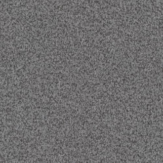 Masland Carpets Santa Rosa Manatee Masland