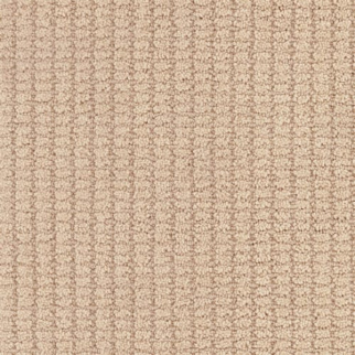 Masland Carpets Defined Nectar Masland