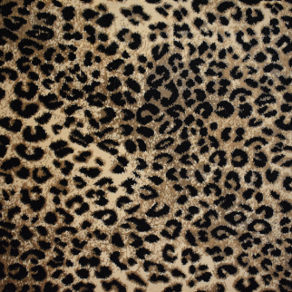 Kane Carpet Kaplani Nimble Lynx KANE