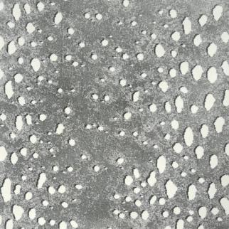 Kane Carpet Panthera Onca KANE