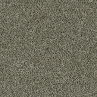 Phenix Carpets Entice Overwhelm PHENIX