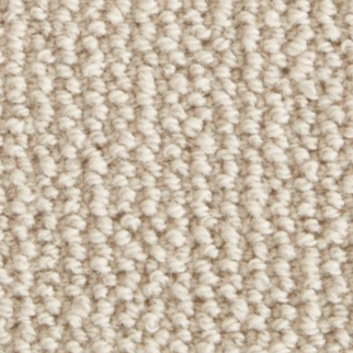 Stanton Carpet Shawnee Oyster Stanton