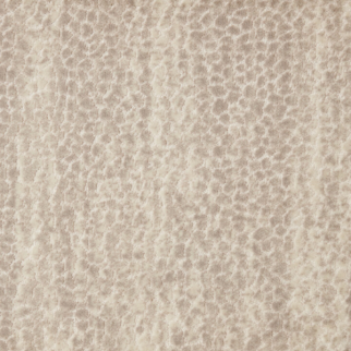 Stanton Carpet Allegory Oyster Stanton