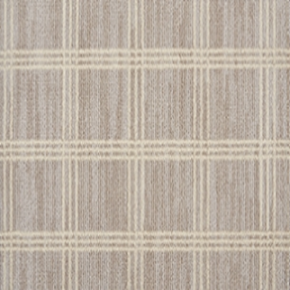 Stanton Carpet Rejoice Platinum Stanton